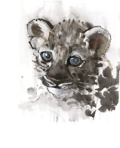 Ojos azules (cachorro de leopardo árabe), 2008 de Mark Adlington