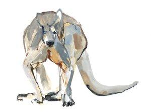 Boxeador (Canguro Rojo), 2012