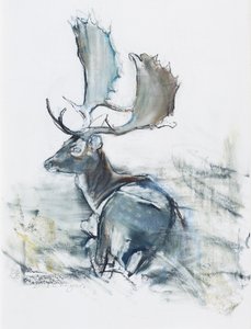 Ciervo en la hierba, 2006 de Mark Adlington