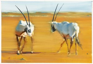 Órix árabe en círculo de Mark Adlington