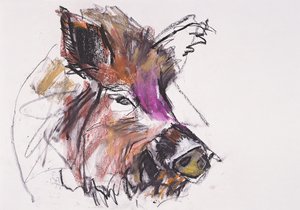 Dzik de Mark Adlington