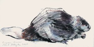 Castor europeo (Estudio) 2001 de Mark Adlington