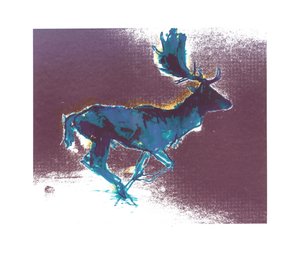 Ciervo Gamo (sombra azulamarilla), 2015