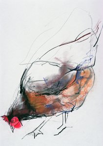 Gallina alimentándose, Trasierra, 1998