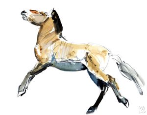 Libre (Przewalski) de Mark Adlington
