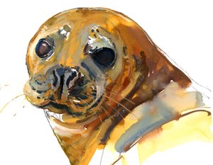 Ginger Pup, Westcove, 2023 de Mark Adlington