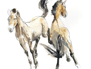 Cabalgando, 2013