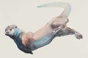 Caza en las profundidades de Mark Adlington