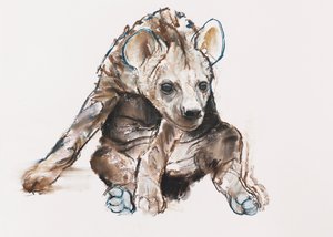 Cachorro de hiena (cabeza baja) de Mark Adlington