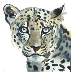 Leopardo, 2015