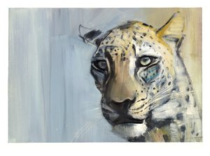 Depredador (Leopardo Árabe)
