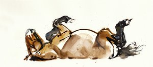 Caballo rodante (Przewalski), 2013 de Mark Adlington