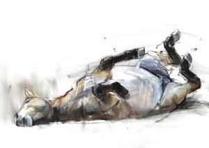 Rodando Rodando Rodando, 2011 de Mark Adlington