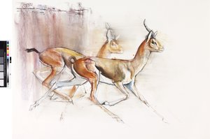 Gacelas árabes corriendo, 2010 de Mark Adlington