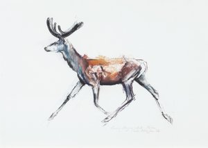 Ciervo corriendo en terciopelo, Polsen, 2006 de Mark Adlington