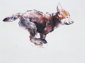 Cachorro de Lobo Corriendo