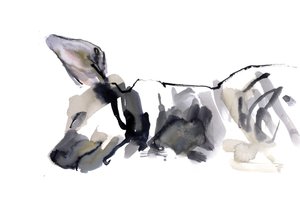 Hiena durmiendo, 2010