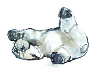 Frotamiento de nieve (Oso Polar), 2013 de Mark Adlington