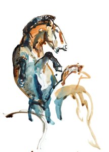 Espíritu (Przewalski), 2013 de Mark Adlington