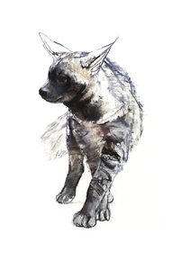 Cachorro de hiena rayada, 2010