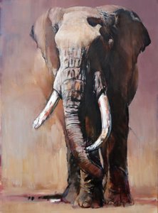 Tofauti, Colinas Chyulu de Mark Adlington