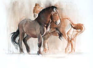 Dos (Przewalski), 2013