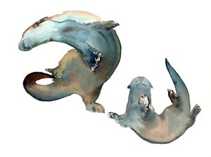 Título desconocido de Mark Adlington
