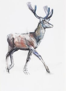 Terciopelo de Mark Adlington