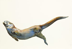 Terciopelo, 2014