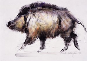 Jabalí, 1999 de Mark Adlington
