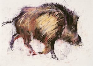 Jabalí trotando, 1999 de Mark Adlington