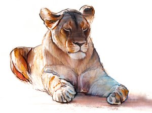 Leona yogui de Mark Adlington