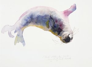 Joven foca gris, Gweek, 2003 de Mark Adlington