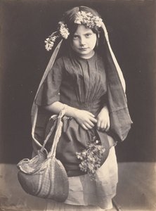 Flores silvestres, ca. 1857