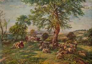 Colina y Valle, c1900 1935