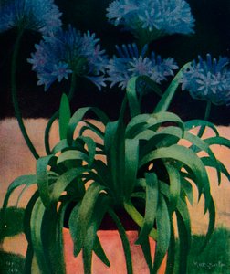 Agapanto, 1914, c. 1932
