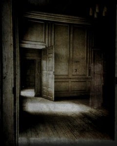 Habitación panelada con figura etérea.., 2015 (foto) de Mark Gordon