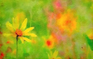después de la lluvia, un día de verano de Mark Gordon