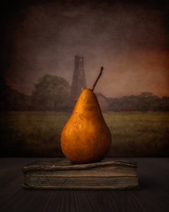 «Golden Pear On Book» de Marko Klavs