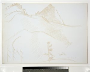 Paisaje montañoso con pinos de Marsden Hartley