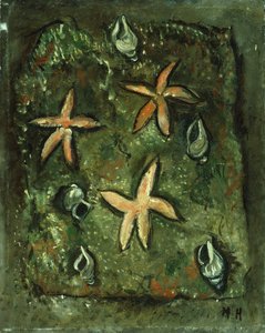 Estrellas de mar y conchas