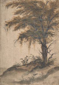 Estudio de un árbol, mediados del siglo XVI-principios del siglo XVII de Marten van Valckenborch