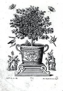 Árbol ornamental en una urna sobre un pequeño escenario de Martin Engelbrecht