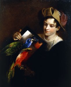 Un niño con un loro