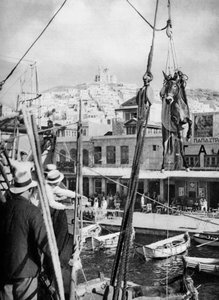 El embarque de mulas, Isla de Syros, Grecia, 1937 de Martin Hurlimann