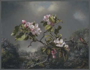 Flores de manzano y colibrí, 1871 de Martin Johnson Heade