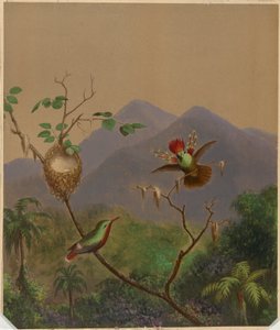 Colibríes brasileños III de Martin Johnson Heade