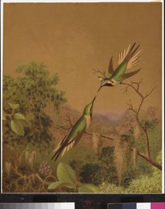 Colibríes brasileños IV de Martin Johnson Heade
