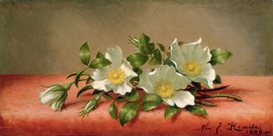 Rosas Cherokee, 1889 de Martin Johnson Heade