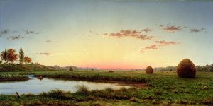 Pajares en los Pantanos de Newburyport, 1862 de Martin Johnson Heade